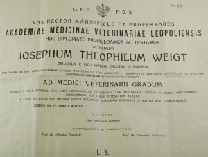Diploma in veterinary medicine from Lviv University, dated Lviv April 9, 1931, issued to Jozef Teofil Weigt [murdered in Kharkiv].