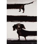 proj. Richard KAJA (1962-2019), Theatre Tension invites you to a nightly review of excerpts from curiosities of world cinematography with dogs of all kinds, Act I Dachshunds