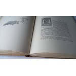 Soból i Panna Weyssenhoff 1913 r. opr. Wójcik /m.