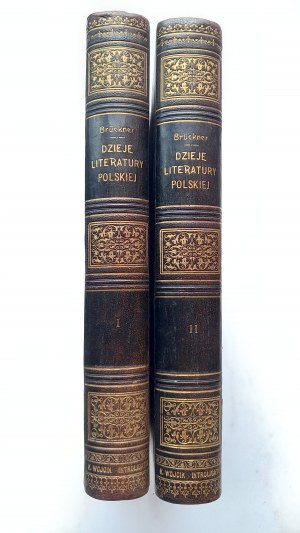 Dzieje Literatury Polskiej w zarysie vol. I+II opr. Wójcik 1903. PÓŁSKÓREK /m.