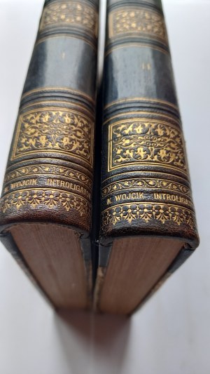 Dzieje Literatury Polskiej w zarysie vol. I+II opr. Wójcik 1903. PÓŁSKÓREK /m.