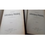 Dzieje Literatury Polskiej w zarysie t. I+II opr. Wójcik 1903 r. PÓŁSKÓREK /m.