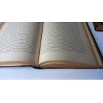 Dzieje Literatury Polskiej w zarysie t. I+II opr. Wójcik 1903 r. PÓŁSKÓREK /m.