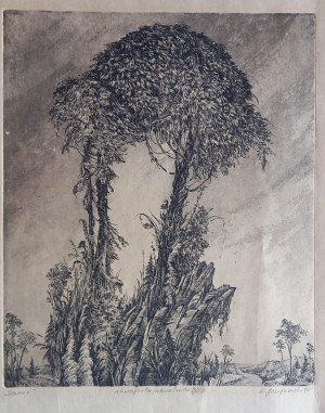 Sami Eugene Josefowski 1991
