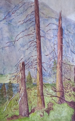 Trees in the Tatra Mountains /sygn./ Zakopane 1923.