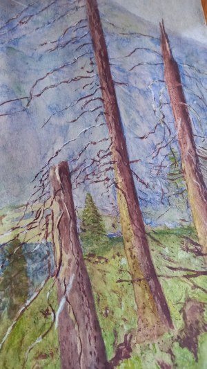 Trees in the Tatra Mountains /sygn./ Zakopane 1923.