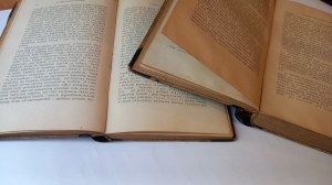 Historya literatury powszechnej w zarysie tom I + II Walery Gostomski 1898.