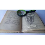 Wyprawa do wnętrza ziemi Verne il. Mróz I WYD. 1959 r. /m.