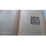 Francuska skrzynka z kości słoniowej z pierwszej połowy XIV wieku w skarbcu katedry ...wawelskiej i podobne zabytki w Krakowie Tadeusz Kruszyński 1936 r. / m.