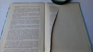 Sprawa polska w parlamencie frankfurckim 1848 r. Jan Kucharzewski /m.