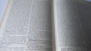 Słownik historyczno-geograficzny województwa krakowskiego w średniowieczu Borek - Ciecień / m.