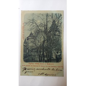 Kraków Ogólny widok baszt przed 1900 r.
