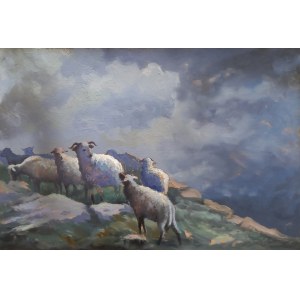 Sheep in the mountains Tadeusz Radwan circa 1950.
