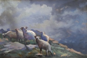Sheep in the mountains Tadeusz Radwan circa 1950.
