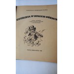 Sztolnia w Sowich Górach Dobkiewiczowa Kornelia Baśnie z ziemi opolskiej,Beskidów i Dolnego Śląska