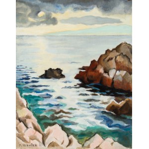 Eugeniusz Waniek (1906 - 2009), Nicea