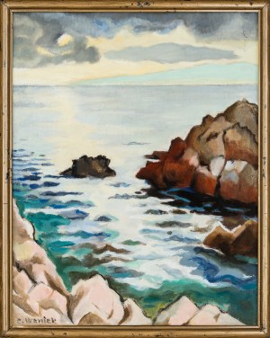 Eugeniusz Waniek (1906 - 2009), 