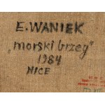 Eugeniusz Waniek (1906 - 2009), Nicea