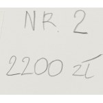 Zbigniew Woźniak (né en 1952 à Wrocław), Deux pingouins, 2020