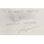 Agnieszka Zapotoczna (ur. 1994, Wrocław), To fly without direction, 2025