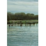 Jagoda Kaczmarczyk-Hudzik (b. 1966, Krakow), Vistula landscape CX, 2025.