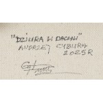 Andrzej Cybura (ur. 1976), Dziura w dachu, 2025