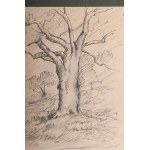 Villa Borghese, multiple on paper 21 x 14.5 cm in frame. State of preservation: very good, Villa Borghese, multiple on paper 21 x 14.5 cm in frame. State of preservation: very good