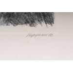Lot of fourteen multiples on paper with different subjects and sizes, framed, signed and numbered on the front. Condition: excellent, except for one sheet with broken glass., Lot of fourteen multiples on paper with different subjects and sizes, framed, si