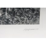 Lot of fourteen multiples on paper with different subjects and sizes, framed, signed and numbered on the front. Condition: excellent, except for one sheet with broken glass., Lot of fourteen multiples on paper with different subjects and sizes, framed, si