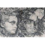 Lot of fourteen multiples on paper with different subjects and sizes, framed, signed and numbered on the front. Condition: excellent, except for one sheet with broken glass., Lot of fourteen multiples on paper with different subjects and sizes, framed, si
