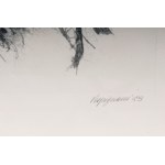 Lot of fourteen multiples on paper with different subjects and sizes, framed, signed and numbered on the front. Condition: excellent, except for one sheet with broken glass., Lot of fourteen multiples on paper with different subjects and sizes, framed, si