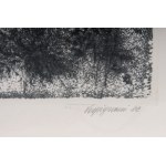 Lot of fourteen multiples on paper with different subjects and sizes, framed, signed and numbered on the front. Condition: excellent, except for one sheet with broken glass., Lot of fourteen multiples on paper with different subjects and sizes, framed, si