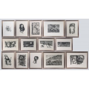Lot of fourteen multiples on paper with different subjects and sizes, framed, signed and numbered on the front. Condition: excellent, except for one sheet with broken glass., Lot of fourteen multiples on paper with different subjects and sizes, framed, si