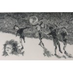 Lot of fourteen multiples on paper with different subjects and sizes, framed, signed and numbered on the front. Condition: excellent, except for one sheet with broken glass., Lot of fourteen multiples on paper with different subjects and sizes, framed, si
