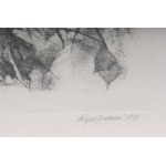 Lot of fourteen multiples on paper with different subjects and sizes, framed, signed and numbered on the front. Condition: excellent, except for one sheet with broken glass., Lot of fourteen multiples on paper with different subjects and sizes, framed, si