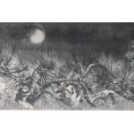 Lot of fourteen multiples on paper with different subjects and sizes, framed, signed and numbered on the front. Condition: excellent, except for one sheet with broken glass., Lot of fourteen multiples on paper with different subjects and sizes, framed, si