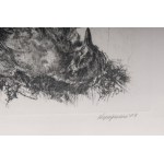 Lot of fourteen multiples on paper with different subjects and sizes, framed, signed and numbered on the front. Condition: excellent, except for one sheet with broken glass., Lot of fourteen multiples on paper with different subjects and sizes, framed, si
