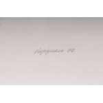 Lot of fourteen multiples on paper with different subjects and sizes, framed, signed and numbered on the front. Condition: excellent, except for one sheet with broken glass., Lot of fourteen multiples on paper with different subjects and sizes, framed, si