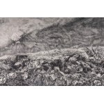Lot of fourteen multiples on paper with different subjects and sizes, framed, signed and numbered on the front. Condition: excellent, except for one sheet with broken glass., Lot of fourteen multiples on paper with different subjects and sizes, framed, si