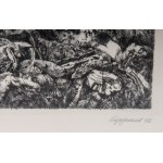 Lot of fourteen multiples on paper with different subjects and sizes, framed, signed and numbered on the front. Condition: excellent, except for one sheet with broken glass., Lot of fourteen multiples on paper with different subjects and sizes, framed, si