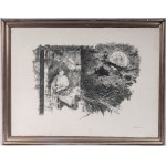 Lot of fourteen multiples on paper with different subjects and sizes, framed, signed and numbered on the front. Condition: excellent, except for one sheet with broken glass., Lot of fourteen multiples on paper with different subjects and sizes, framed, si