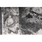 Lot of fourteen multiples on paper with different subjects and sizes, framed, signed and numbered on the front. Condition: excellent, except for one sheet with broken glass., Lot of fourteen multiples on paper with different subjects and sizes, framed, si
