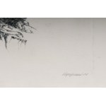 Lot of fourteen multiples on paper with different subjects and sizes, framed, signed and numbered on the front. Condition: excellent, except for one sheet with broken glass., Lot of fourteen multiples on paper with different subjects and sizes, framed, si