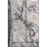 Lot of fourteen multiples on paper with different subjects and sizes, framed, signed and numbered on the front. Condition: excellent, except for one sheet with broken glass., Lot of fourteen multiples on paper with different subjects and sizes, framed, si
