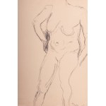Female Nude 1989 ink on paper applied to canvas 40 x 30 cm signed, dated in frame with authentication on photo by Jorise Tarabella Montanarini. State of preservation: very good, Female Nude 1989 ink on paper applied to canvas 40 x 30 cm signed, dated in f