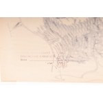 Gulliver 1948 Marker on paper 32 x 44 cm signed, dated in frame. On the back with a declaration of ownership to the author&#39;s collection. Condition: very good, broken glass, Gulliver 1948 Marker on paper 32 x 44 cm signed, dated in frame. On the back w