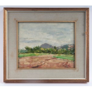 Abano Countryside oil painting on board 22 x 27 cm signed lower right in frame. Titled, signed and dated on the back with Minotauro gallery label State of preservation: good, Abano Countryside oil painting on board 22 x 27 cm signed lower right in frame. 