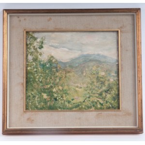 Surroundings of Cunardo oil painting on board 23 x 27 cm signed in frame. On the back titled, signed and dated with Minotauro gallery label State of preservation: good, Surroundings of Cunardo oil painting on board 23 x 27 cm signed in frame. On the back 