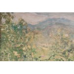 Surroundings of Cunardo oil painting on board 23 x 27 cm signed in frame. On the back titled, signed and dated with Minotauro gallery label State of preservation: good, Surroundings of Cunardo oil painting on board 23 x 27 cm signed in frame. On the back 