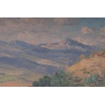 Lot of three paintings: mountain landscape oil on board front and back, signed and dated 1920 28 x 22 cm; mountain landscape oil on cardboard signed and dated 1919 15.5 x 26 cm; winter landscape oil on cardboard signed 9 x 14 cm Condition: good, minimal d